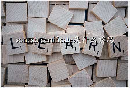 soncap certificateʲô˼